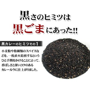 牛タン黒カレー（200ｇ×12パック）（カレー レトルトカレー レトルトカレーセット 牛タンカレー 牛タン入りカレー 黒カレー 黒ゴマカレー スパイスカレー こだわりカレー 本格カレー 人気カレー 大