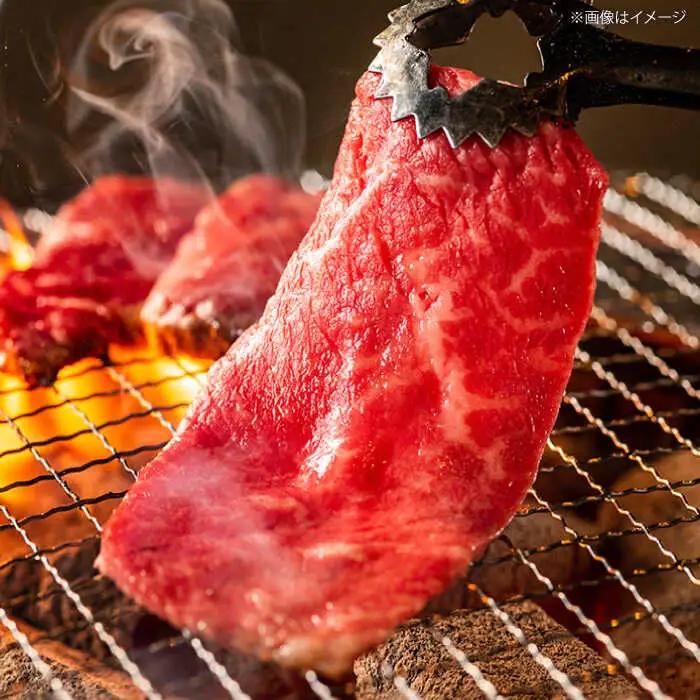 ロース 焼肉用 （600g）牛肉 ロース 赤身[AGCC023]