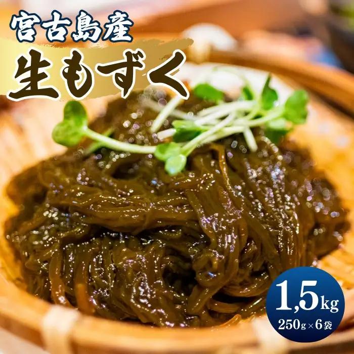 漁師直送！宮古島産生太もずく（1.5kg）｜沖縄宮古島 モズク 海藻 生もずく ヘルシー 食物繊維（CW36）