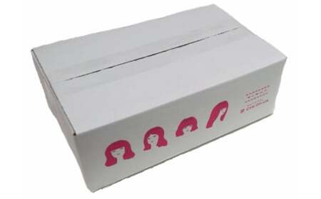 【全3回定期便】 長崎ルーローハンの具 （2食入） 計18袋 （6袋×3回） 魯肉飯 