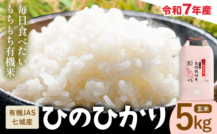 令和7年産 有機JAS 七城産ひのひかり 玄米 5kg 《30日以内に出荷予定(土日祝除く)》渡辺農産熊本県 菊池市 米 お米 精米 ひのひかり 菊池市産 熊本県産 九州産 送料無料---171-19