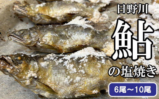鮎の塩焼き【アユ 塩焼き 600g～700g 6尾～10尾 鳥取県産 日吉津村 冷凍】