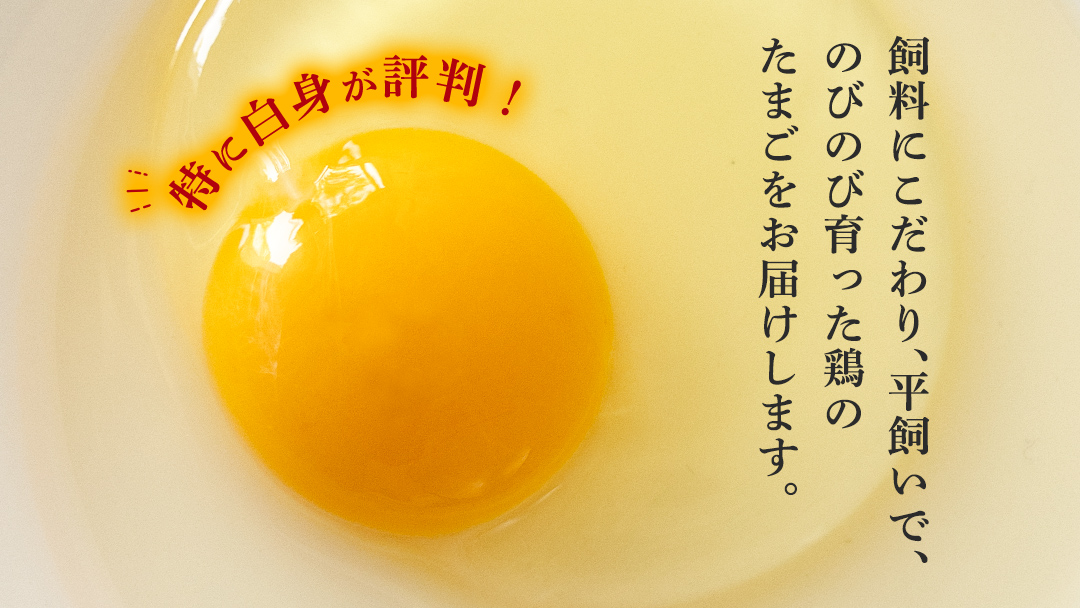 枝さんちのたまご 40個 (M～L40個) 産地直送 たまご 玉子 生卵 鶏卵 タマゴ 平飼い 桜川市産 茨城県産 卵 非遺伝子組換え [BT007sa]