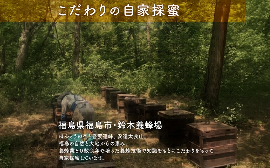 No.0087国産純粋はちみつ2種詰合せ500g×2本