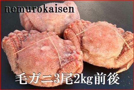 【北海道根室産】毛がに3尾(計2kg前後) E-57007