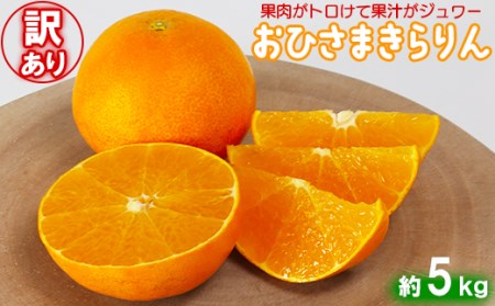【訳あり・優品】今村農園のおひさまきらりん 約5kg＜107-020_7＞