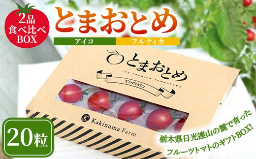 
                  栃木県 鹿沼産 高糖度フルーツトマト ”とまおとめ” 2品種食べ比べBOX（アイコ・フルティカ） | 野菜 トマト ミニトマト カキヌマファーム 濃厚 贈り物 新鮮 高糖度 リコピン ビタミン ダイエット 美容 健康 ※2025年12月下旬～2026年6月上旬頃に順次発送予定
                