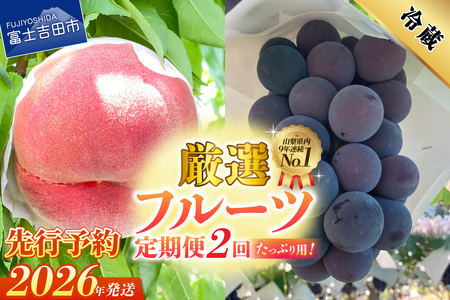 厳選フルーツ2回定期便（桃2kg・黒ぶどう1kg以上）【2026年発送先行予約】