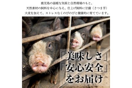 No.687 鹿児島県産！黒豚ロース(計900g 150g×6P)国産 九州産 黒豚 豚肉 ロース トンテキ 冷凍 期間限定 小分け【コワダヤ】