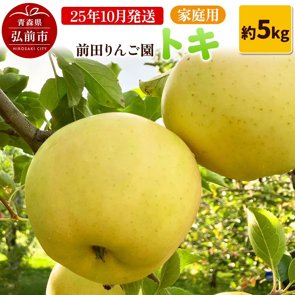 【ふるさと納税】【レビューキャンペーン】【25年10月発送】りんご【家庭用】トキ 約5kg 前田りんご園