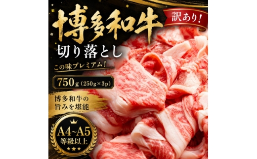 訳あり!＜A4～A5＞この味プレミアム!博多和牛切り落とし 750g(250g×3p)(大牟田市)【1744131】