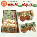 【ふるさと納税】チョコサンドクッキー「かぼちゃっ娘」8個・かぼちゃ餡パイ「かぼちゃの里」6個 【 ふるさと納税 人気 おすすめ ランキング 菓子 焼菓子 ホワイトチョコ チョコサンド チョコサンドクッキー クッキー 北海道 佐呂間町 送料無料 】 SRMK006