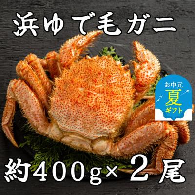 ふるさと納税 紋別市 【お中元】流氷明け浜ゆで毛ガニ約400g×2尾