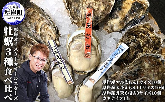 
            【チョイス限定】北海道 厚岸 季節 定期便 全2回お届け 牡蠣 3種 食べ比べ セット 厚岸オイスター★オールスターズ 生食[№5863-1185]
          