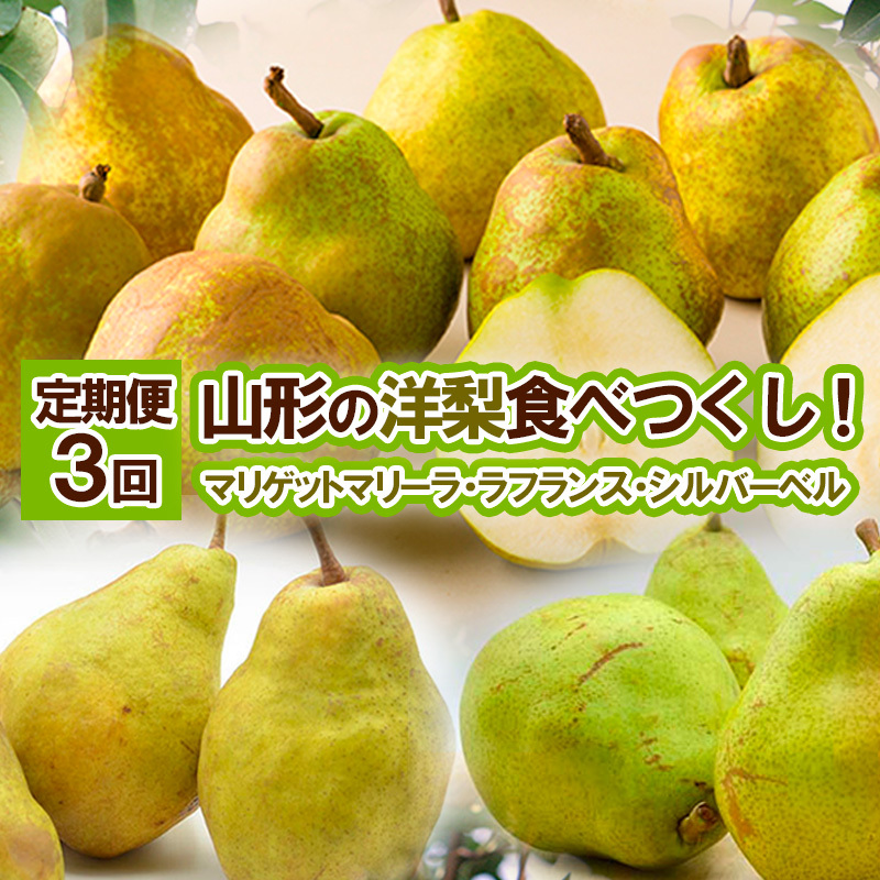 ★定期便3回★山形の洋梨食べつくし！(マリゲットマリーラ・ラフランス・シルバーベル) FY25-835