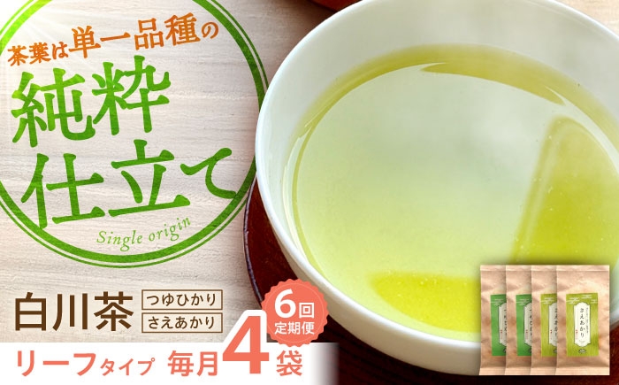 【6回定期便】煎茶 リーフセット 【つゆひかり・さえあかり】 各2袋 お茶 煎茶 国産 セット 岐阜 白川町 / 健康農園 [AWBW006]