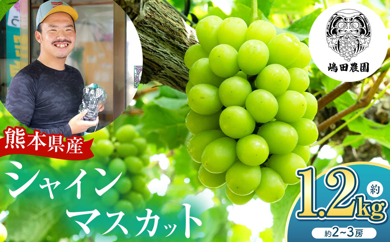 
            【 先行予約 】 シャインマスカット 2房 約1.2kg 和水町産 | 熊本県 熊本 和水町 くまもと なごみまち なごみ ぶどう ブドウ 葡萄 シャイン マスカット 果物 季節限定 フルーツ 季節の果物 朝摘み 直送
          