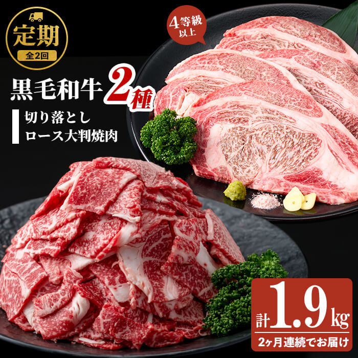 【ふるさと納税】【定期便・全2回】国産 黒毛和牛2種お楽しみ定期便(計1.9kg) 国産 黒毛和牛 切り落とし 4等級 以上 九州産 ロース 大判 焼肉 和牛 牛 牛肉 焼き肉 冷凍 小分け 訳あり 定期便 頒布会【サンキョーミート】t0034-002