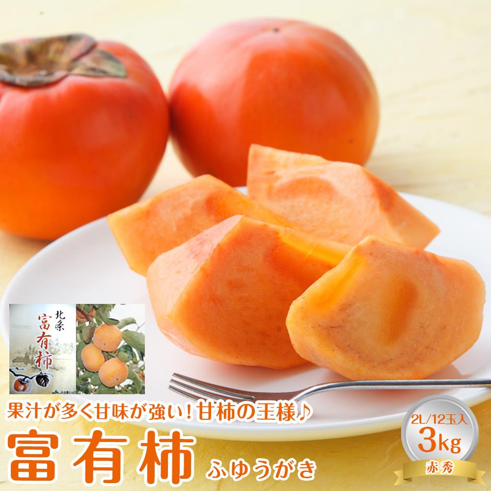 【ふるさと納税】748.【先行予約】【JA】　富有柿　赤秀2L 3kg箱（12玉）※着日指定不可　※離島への配送不可　※2026年11月初旬頃～11月下旬頃に順次発送予定 | 柿 富有柿 カキ かき 果物 くだもの フルーツ 先行予約 鳥取県 北栄町