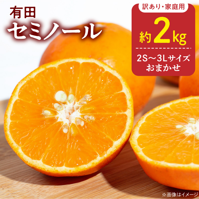 DZ6225_訳あり 家庭用 セミノール  和歌山 有田  2S～3Lサイズ混合 2kg