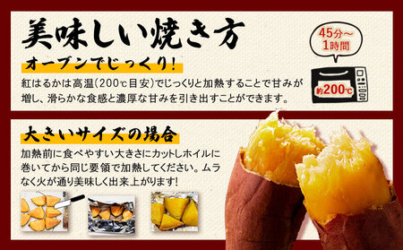 訳あり紅はるか サツマイモ 1.5kg 《2026年1月上旬-5月末頃出荷予定》紅はるか さつまいも 熊本県 大津町 イモ 芋 さつまいも 訳あり