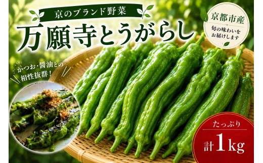 【先行予約・2026年7月発送】万願寺とうがらし（京野菜）1kg（目安30～35本） |京都 野菜 人気セット［ 京都 野菜 万願寺 とうがらし ご当地 人気 おすすめ 定番 セット おいしい ご自宅用 お取り寄せ 通販 送料無料 ふるさと納税 ］