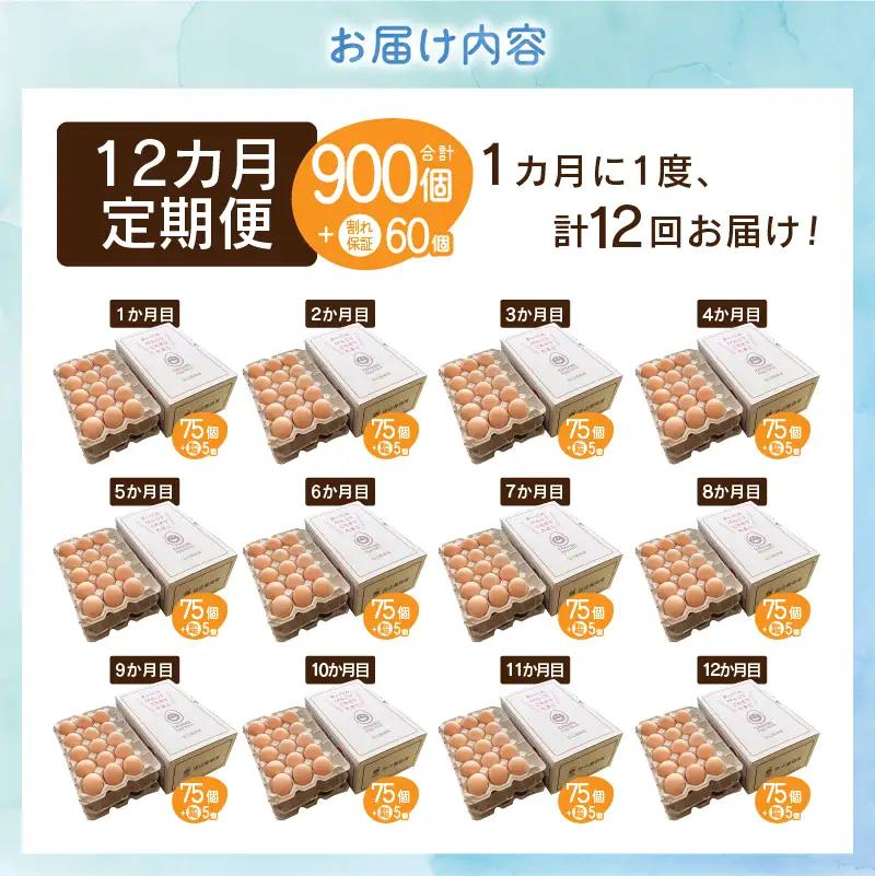 【12ヶ月定期便】”忍野の卵”旨味のピンク玉80個×12回 ※割れ保証含む 卵