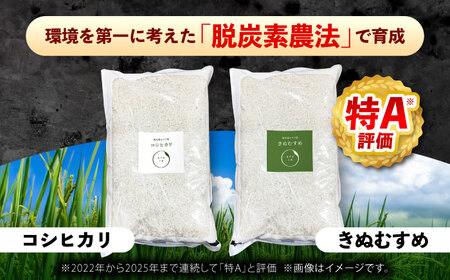 白米 食べ比べ セット きぬむすめ・コシヒカリ 各6kg（計12kg） [AIDR014] 米