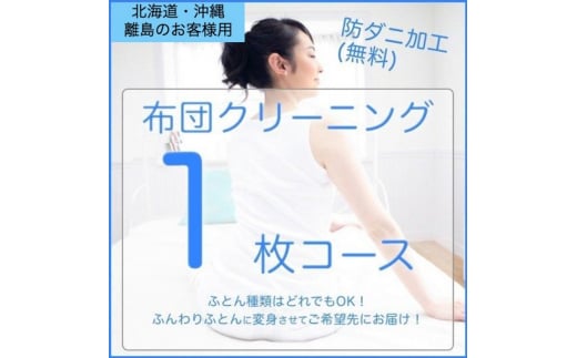 [№5895-0594]ふとんクリーニング 1枚 （なんでもOK） 北海道・沖縄・離島可