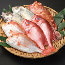 【ふるさと納税】鮮魚詰め合わせ 約2.5kg レンコ キントキ 季節の魚 海鮮 水産物 魚介類 さかな サカナ 冷蔵 長崎県 長崎市 送料無料 【2024年11月下旬-2025年3月下旬発送予定】