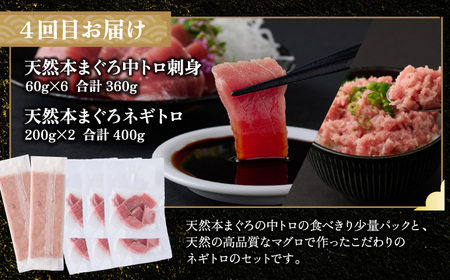 【定期便/計4回】海鮮【惣菜海鮮】FN-Limited-PR