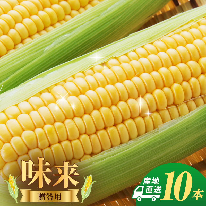 とうもろこし 味来 贈答用 10本 トウモロコシ 宮城県産 甘い 夏 朝採れ 産地直送 宮城県 大河原町