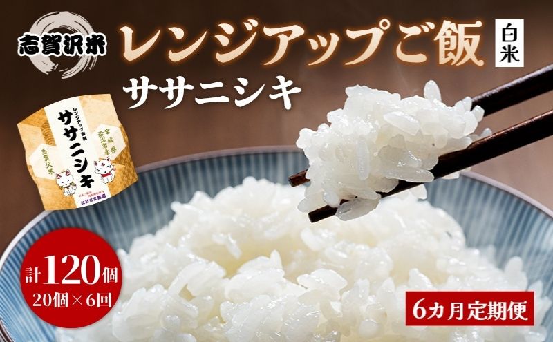 【 令和7年産】6ヵ月定期便 ササニシキ 志賀沢米 レンジアップごはん 20個セット お米 米 精米 パックごはん