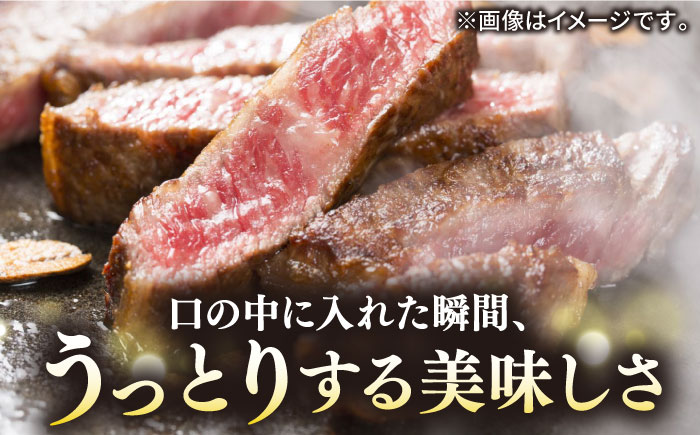 極上 壱岐牛 A5ランク Lボーンステーキ 約600~800g（雌）30日間熟成《壱岐市》【KRAZY MEAT】 [JER007] ステーキ ヒレ 赤身 Lボーン 牛肉 肉 骨つき肉 サーロイン A