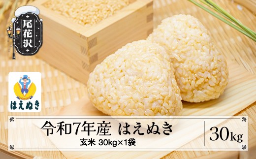 
                  令和7年産 玄米 はえぬき 30kg 30kg×1袋 2025年産 米 お米 国産 山形県 尾花沢市 vi-hagxa30
                