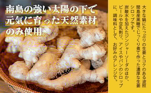 ジンジャーシロップ飲み⽐べ3種セット(120ML×3本) HW-1 【沖縄県石垣市 沖縄 沖縄県 琉球 八重山 八重山諸島 石垣 石垣島 送料無料 ⽯垣島産⽣姜 生姜 シロップ ジンジャー ジンジャー