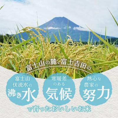 ふるさと納税 富士吉田市 令和6年産 無洗米 精米1合×15個セット 真空パック『美富士の夢来五百川』 小分けパック |  | 03