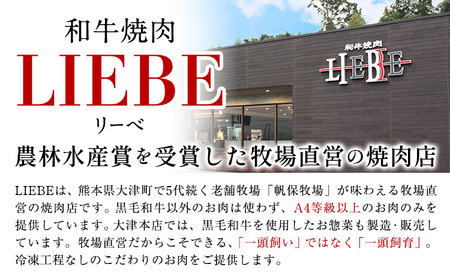 A5 A4 ランク 厳選 くまもと黒毛和牛 サーロインステーキ 1枚(250g-280g)《30日以内に出荷予定(土日祝除く)》 熊本県 大津町 和牛焼肉LIEBE くまもと黒毛和牛 サーロイン ステ