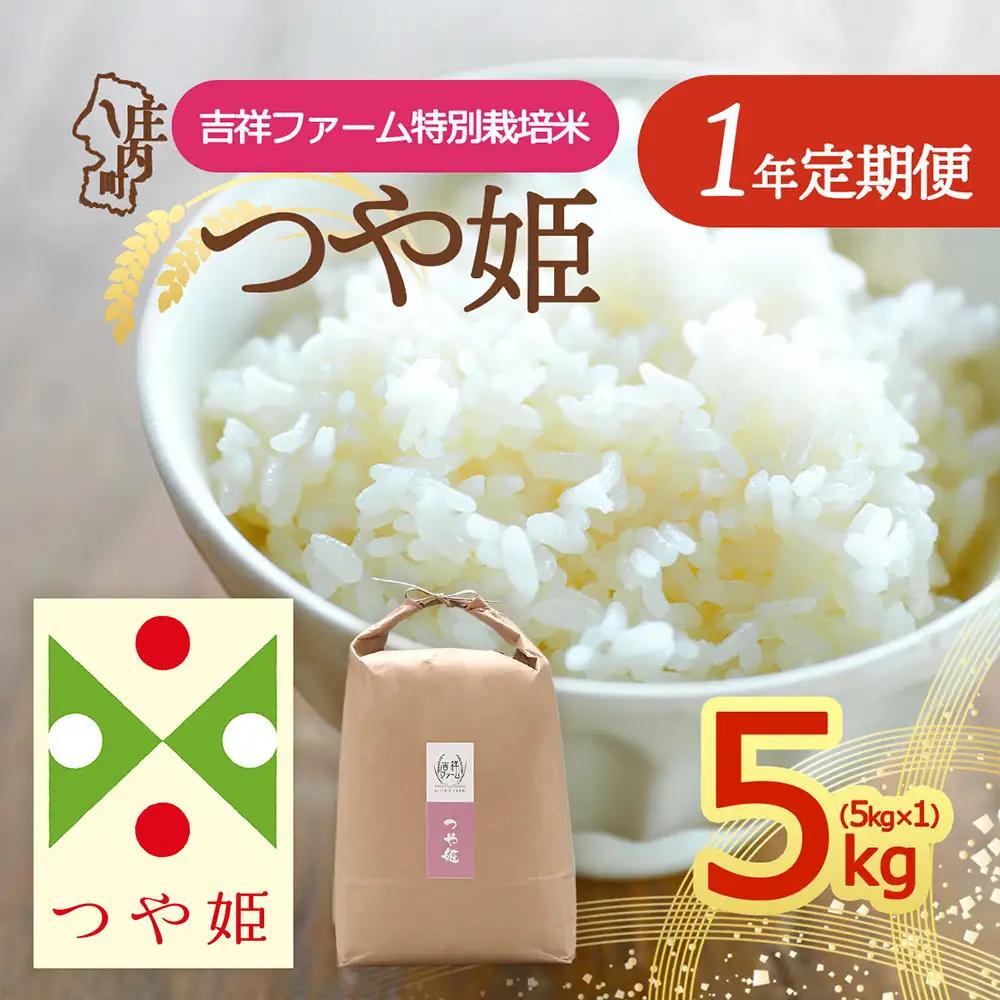 【定期便】＜令和8年産＞つや姫 5kg×1年間 特別栽培米 毎月お届け 金賞受賞農家 山形県庄内町産 庄内米 ブランド米 米 お米の定期便 ごはん 粘り 甘み 香り 粒が大きい 吉祥ファーム【10月中旬発送】