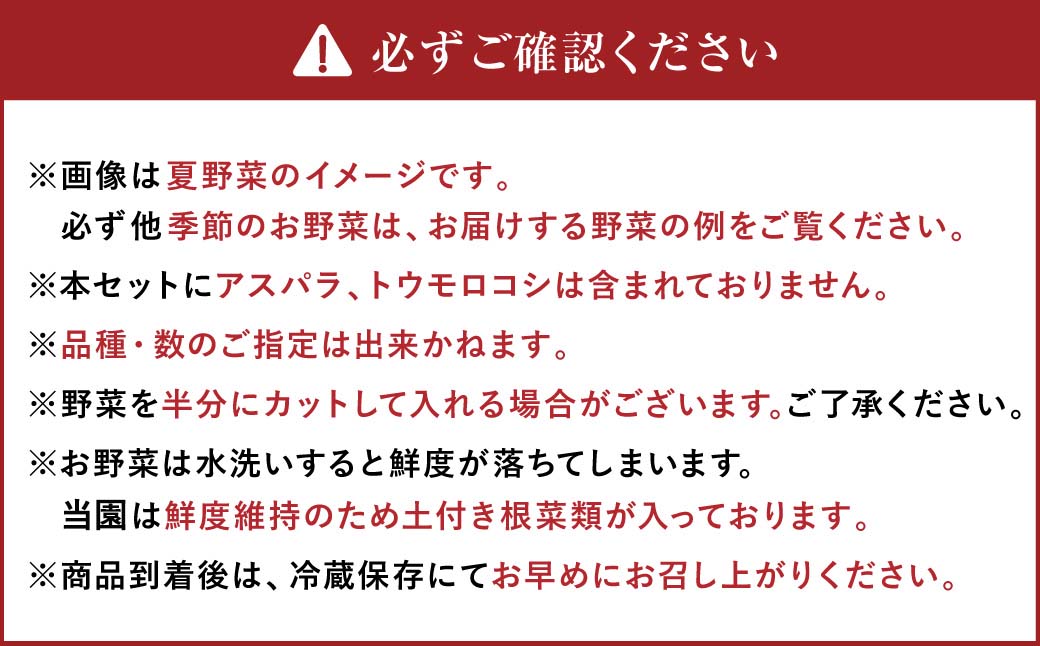 【12ヶ月定期便】有機JAS認定 季節の野菜詰め合わせ ～有機野菜セットC～