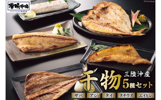 
										
										日本贈りめし×凍眠市場 三陸産干物 5種セット 計900g（さば 300g アジ 150g タイ 150g タチウオ 200g エイヒレ 100g） [シャディ 宮城県 気仙沼市 20564031] 干物 魚 魚介 冷凍 レビューキャンペーン
									