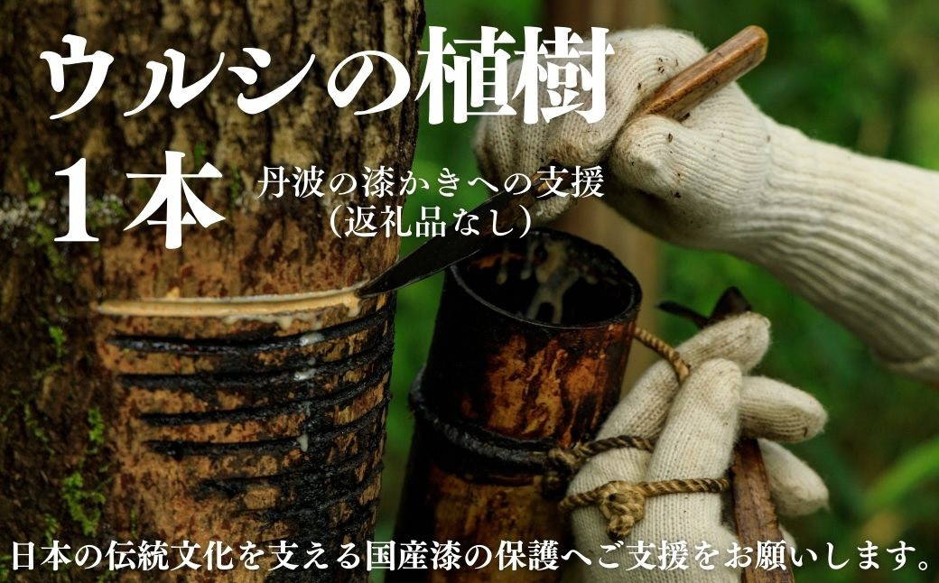 
            【思いやり型返礼品】ウルシの木の植樹１本分～伝統技術「丹波の漆かき」へのご支援 FCTMB001
          
