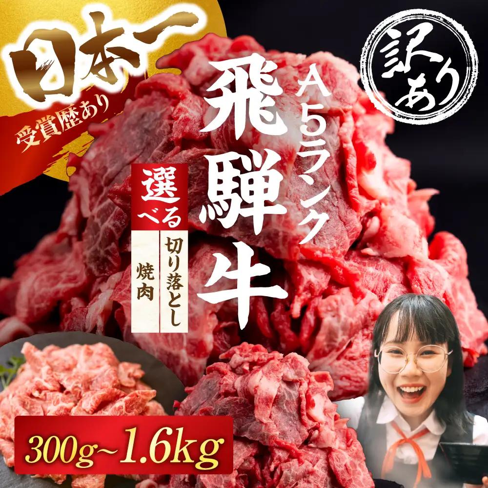 ≪訳あり≫ 飛騨牛 A5 焼肉 300g 定期便 12回｜訳あり