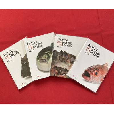 ふるさと納税 七尾市 Fのさかなおもしろ図鑑vol.1〜4(4冊セット)