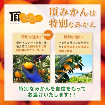 三代目がつくる高品質【頂みかん】3kg【1181950】