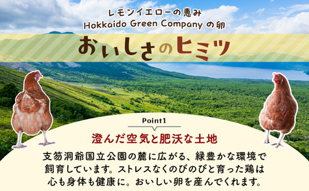 【 全3回 定期便 】 平飼い たまご T074-T01-01 卵