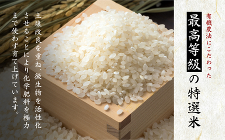米 令和7年産 コシヒカリ 二本松十万石米 精米5kg×2袋【株式会社Y&Tカンパニー】