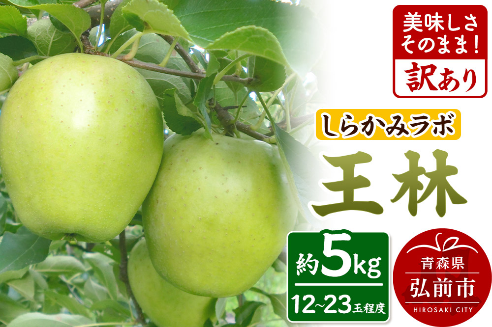 【25年12月〜発送】りんご 王林【訳あり】5kg しらかみラボ