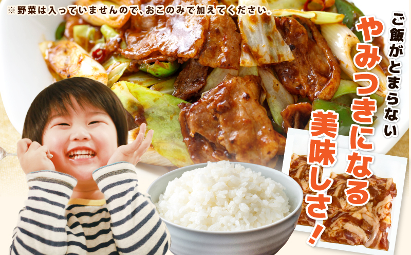 国産 豚バラ肉 自家製タレ漬 1kg(250g×4パック) 小分け 時短 焼くだけ 簡単 010B1510_イメージ4