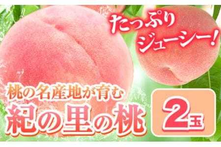 桃 紀の里の桃 2玉